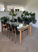 Zanotta dining room set