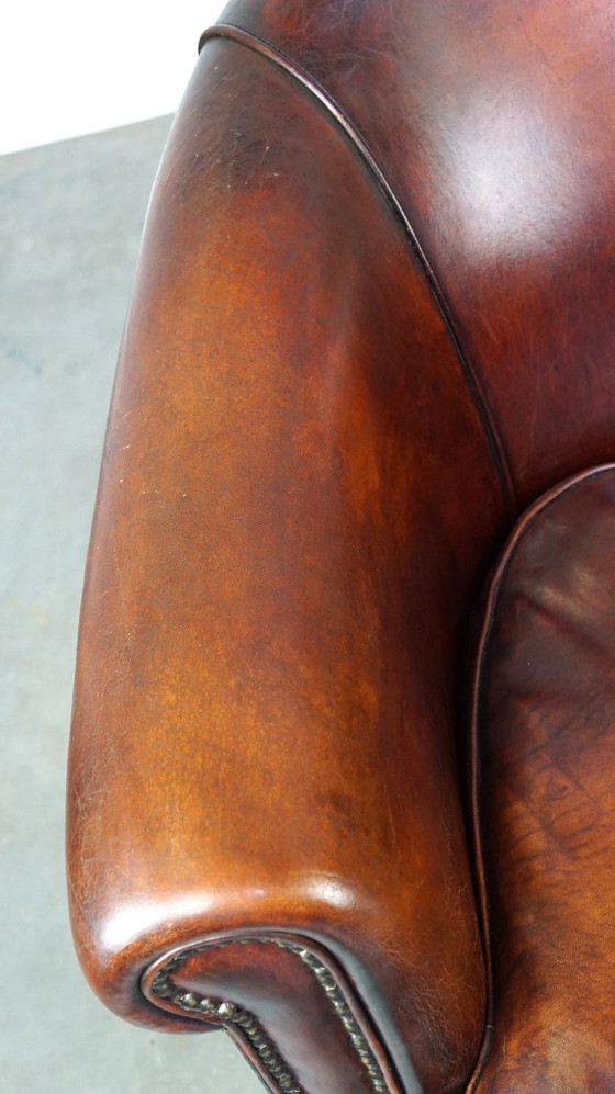 Image 1 of Dark brown sheep leather club chair