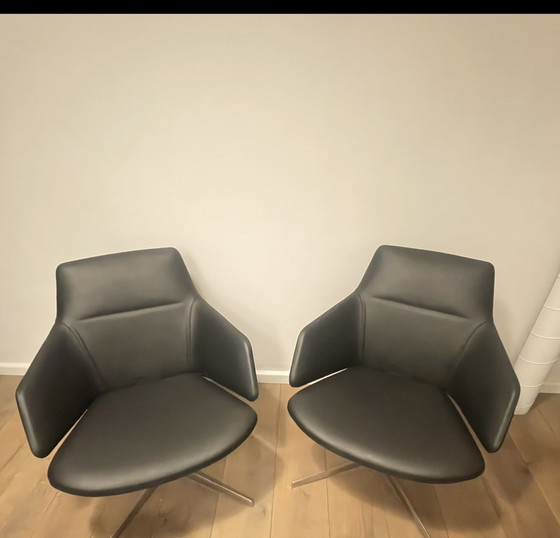 Image 1 of 4x Arper Aston 1928 chairs