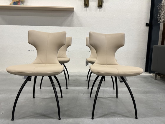 Image 1 of 4 Leolux Callas Dining Chairs Senso Blossom