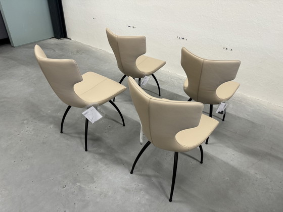 Image 1 of 4 Leolux Callas Dining Chairs Senso Blossom