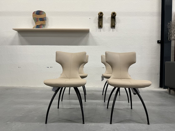 Image 1 of 4 Leolux Callas Dining Chairs Senso Blossom