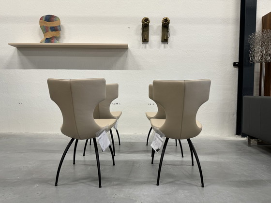 Image 1 of 4 Leolux Callas Dining Chairs Senso Blossom