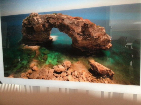 Image 1 of Cobra Art