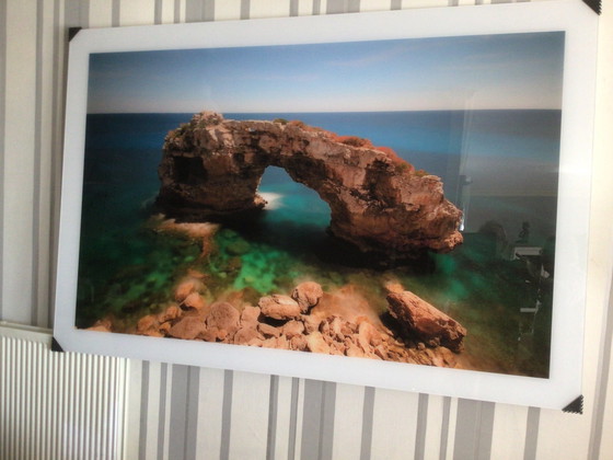 Image 1 of Cobra Art