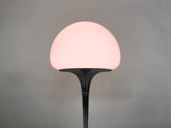 Image 1 of Opaline glass and chrome floor lamp by Goffredo Reggiani, Italy 1960's