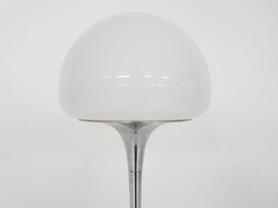 Image 1 of Opaline glass and chrome floor lamp by Goffredo Reggiani, Italy 1960's