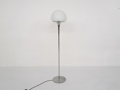 Opaline glass and chrome floor lamp by Goffredo Reggiani, Italy 1960's