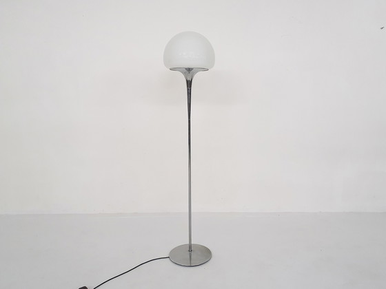 Image 1 of Opaline glass and chrome floor lamp by Goffredo Reggiani, Italy 1960's