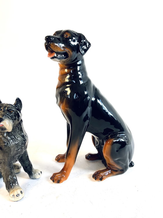 Image 1 of Ceramic Rottweiler, Italy '60