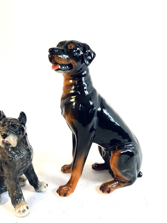 Image 1 of Ceramic Rottweiler, Italy '60