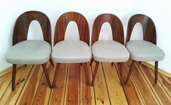 Image 1 of A Set Of Four Chairs, Designed By A. Suman, Tatra Nabytok, Czechoslovakia, 60S