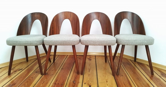 Image 1 of A Set Of Four Chairs, Designed By A. Suman, Tatra Nabytok, Czechoslovakia, 60S