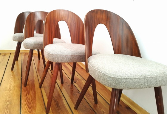 Image 1 of A Set Of Four Chairs, Designed By A. Suman, Tatra Nabytok, Czechoslovakia, 60S