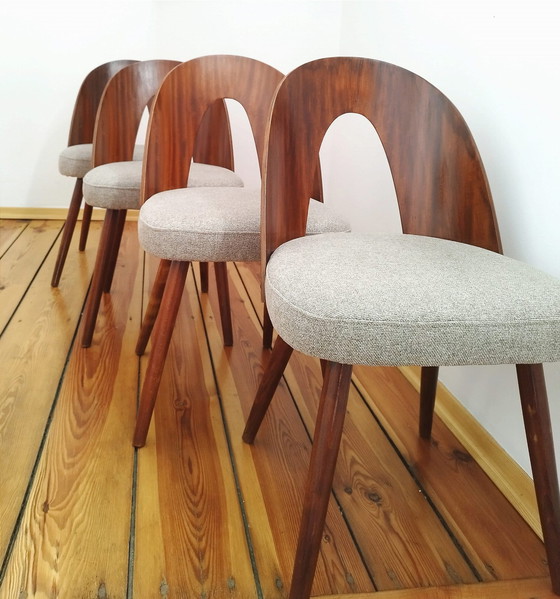 Image 1 of A Set Of Four Chairs, Designed By A. Suman, Tatra Nabytok, Czechoslovakia, 60S