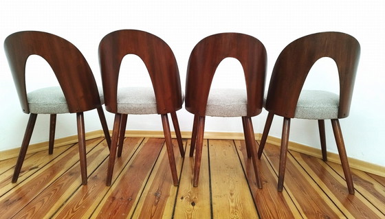 Image 1 of A Set Of Four Chairs, Designed By A. Suman, Tatra Nabytok, Czechoslovakia, 60S