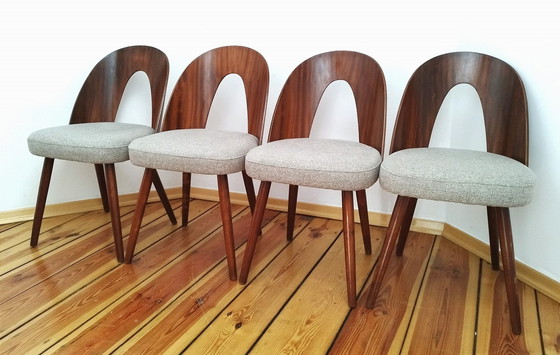 Image 1 of A Set Of Four Chairs, Designed By A. Suman, Tatra Nabytok, Czechoslovakia, 60S