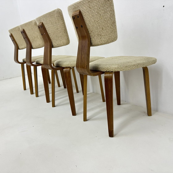 Image 1 of Set di 4 sedie da pranzo Cor Alons in compensato, stile Mid-Century Modern, design olandese, anni &#39;60