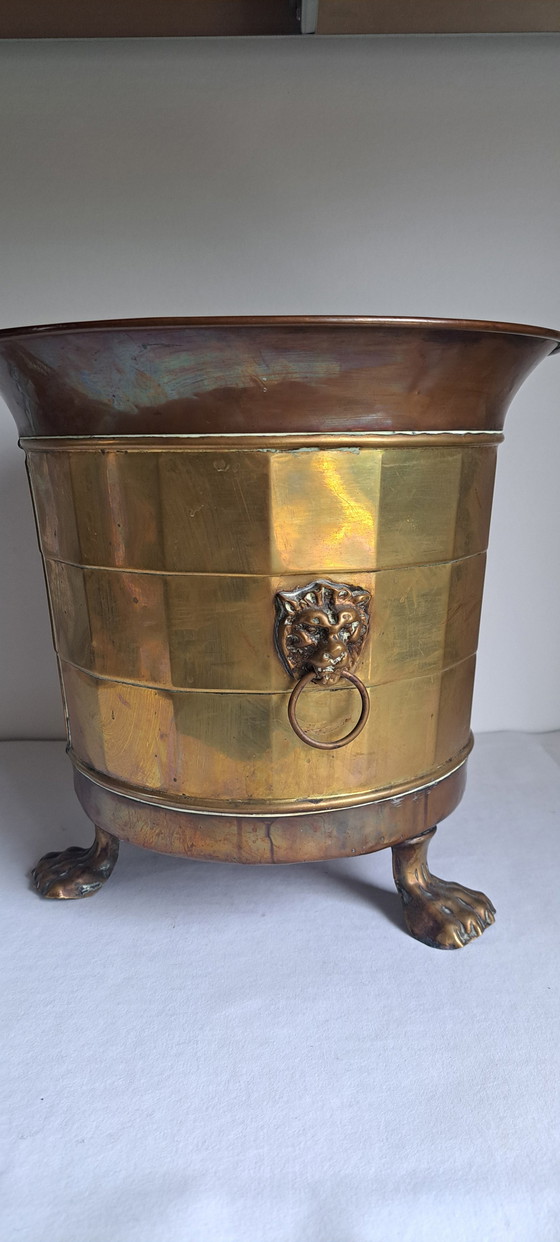 Image 1 of Copper Brass Plant Pots Lion's Head