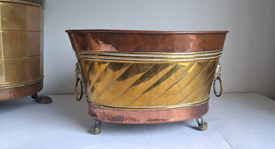 Image 1 of Copper Brass Plant Pots Lion's Head