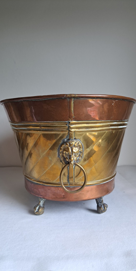 Image 1 of Copper Brass Plant Pots Lion's Head