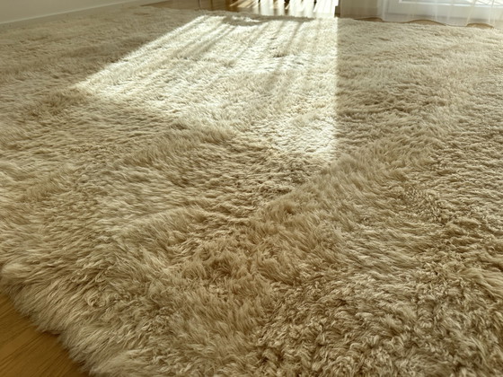 Image 1 of Hem Monster Rug XL (Siri Carlen) | Rug Norwegian virgin wool