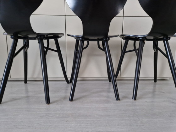 Image 1 of 3x Linteloo Tulipani Chairs