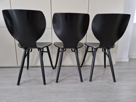 Image 1 of 3x Linteloo Tulipani Chairs