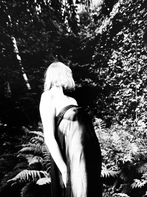 Image 1 of Michel Pinel 1949-2022 Superb Artistic Nude Photo Collection