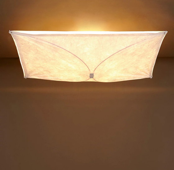 Image 1 of Flos Ariette wall/ceiling light