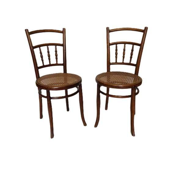 Image 1 of Bistro café chairs by Ungvarer Mobelfabriks Hungary, circa 1900