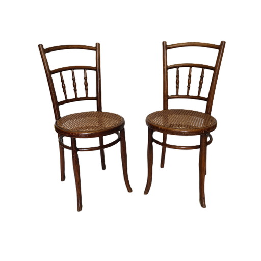 Chaises de bistrot de Ungvarer Mobelfabriks Hongrie, vers 1900