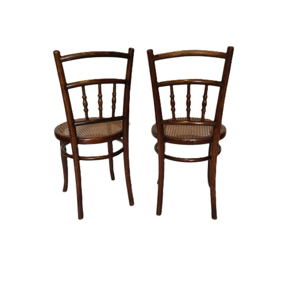 Image 1 of Chaises de bistrot de Ungvarer Mobelfabriks Hongrie, vers 1900