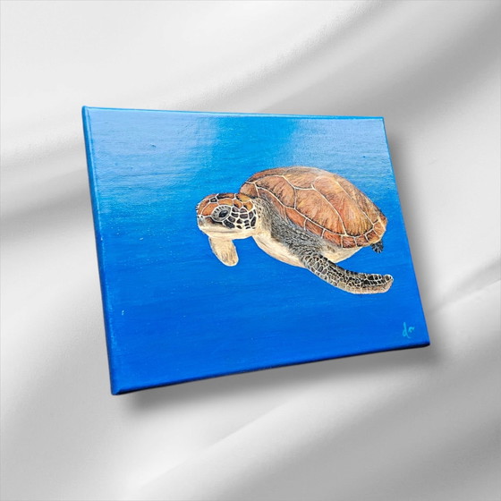 Image 1 of Acrylic Paint Painting Turtle 24X30 Cm