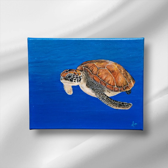 Image 1 of Acrylic Paint Painting Turtle 24X30 Cm