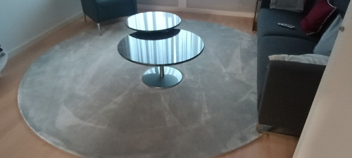 Van Besouw Round rug