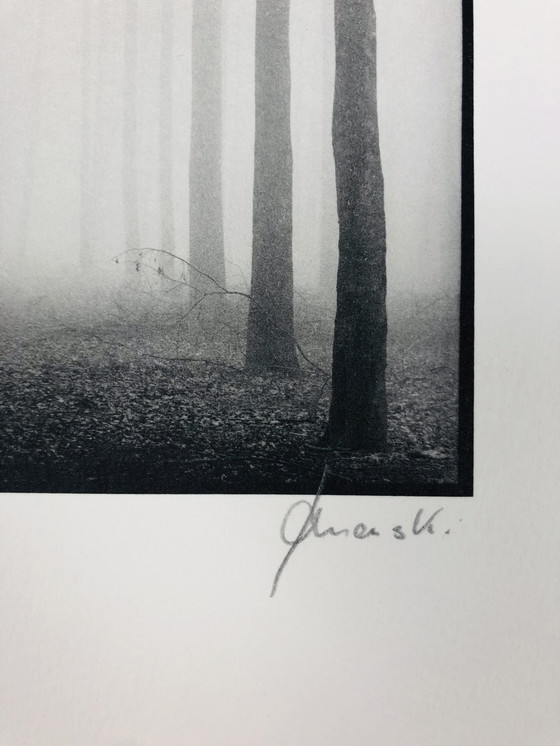 Image 1 of Ralph Janowski - Photo print