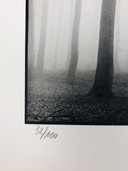 Ralph Janowski - Photo print