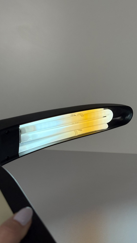 Image 1 of Vintage Toucan Lamp Design H.T. Huang For Lenoir Toucan