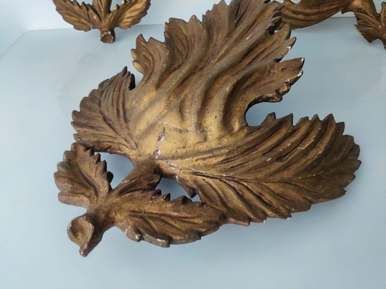 Image 1 of 3X Old Vine Leaves 