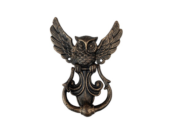 Image 1 of Owl Door Knocker