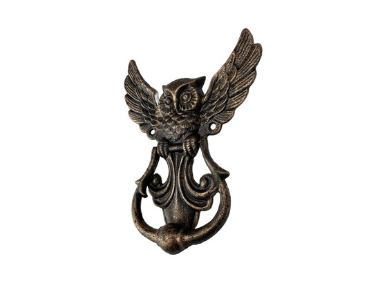 Image 1 of Owl Door Knocker