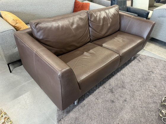 Image 1 of Molinari Bench brown leather