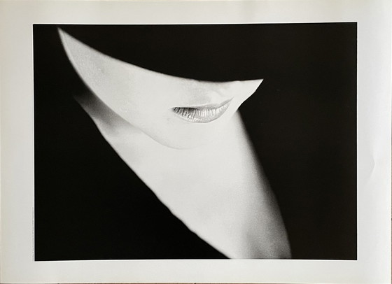 Image 1 of Michiel Ibelings, Monique, 1981 Printed In Holland  No 276