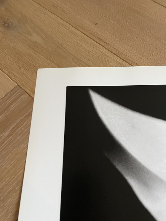 Image 1 of Michiel Ibelings, Monique, 1981 Printed In Holland  No 276