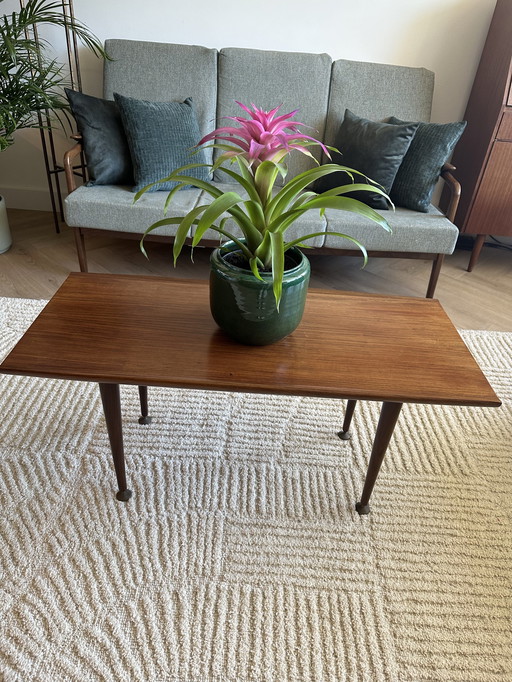 AA Patijn Coffee Table