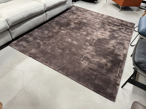 Rolf Benz Braun Tapis brun 200x250