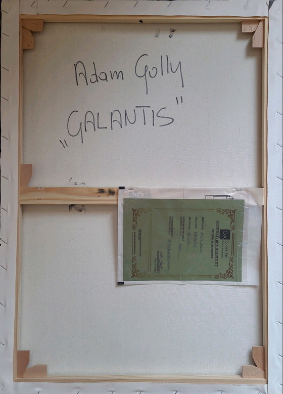 Image 1 of Adam Golly "Galantis"