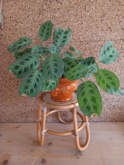 Rattan Side Table/Plant Table