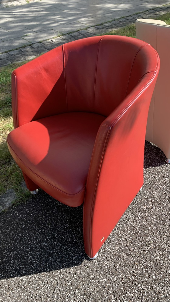 Image 1 of Rolf Benz Design cocktail chair 7300 leather